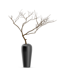 shop-lifestyle-bg-11