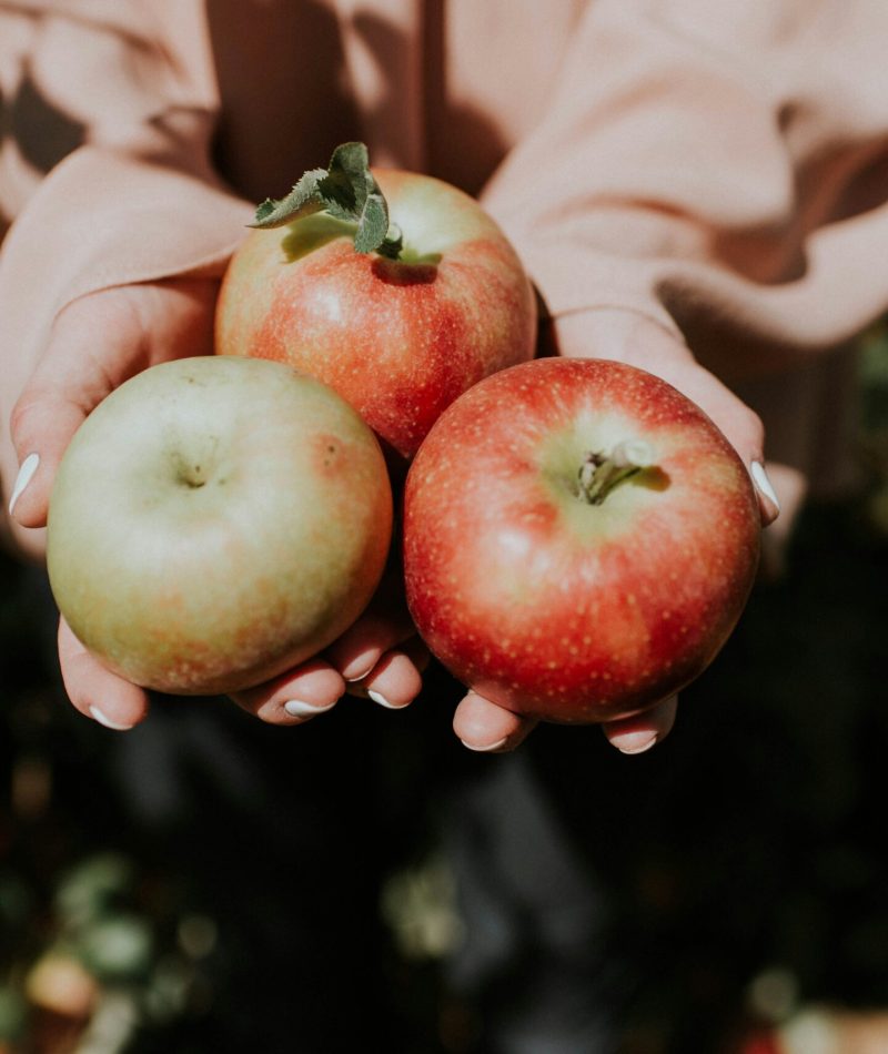 photo-1507260385058-676ee3f043e3