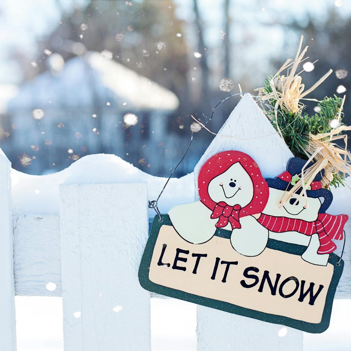 pexels-jill-wellington-1638660-273878