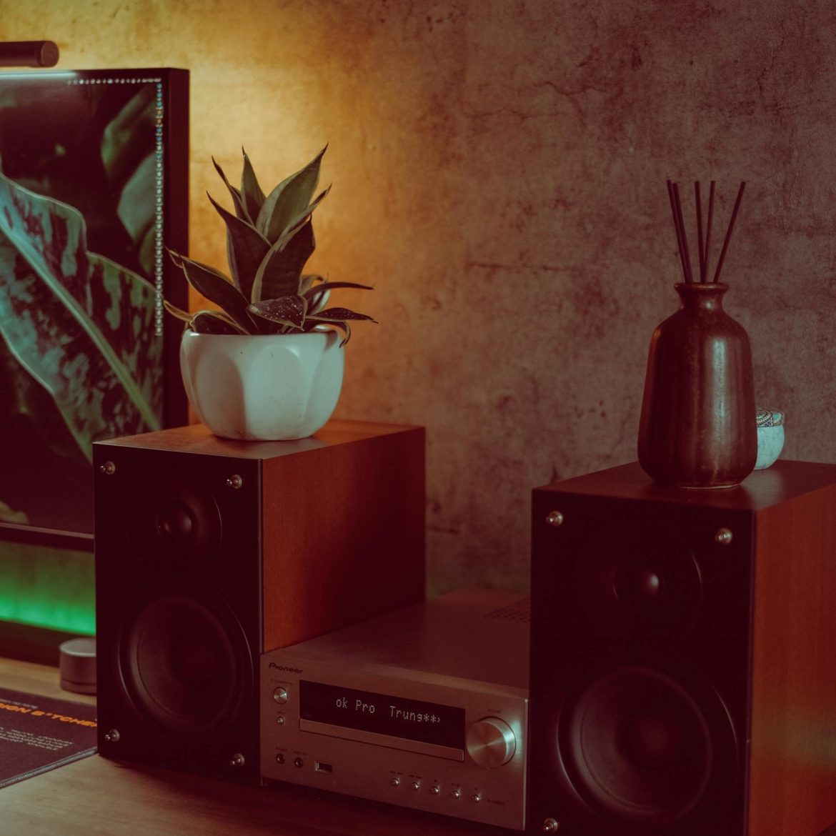 pexels-nguyendesigner-19482600